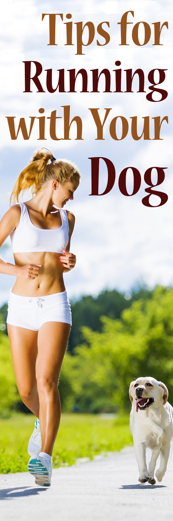 Tips for Running with Your Dog