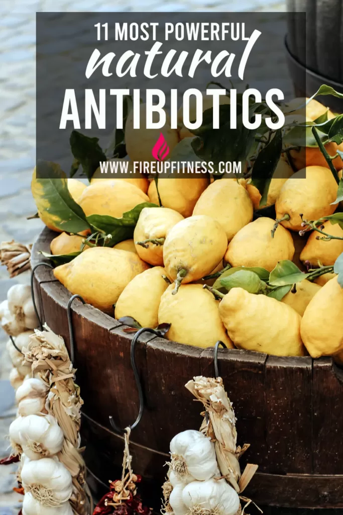 11 most powerful natural antibiotics