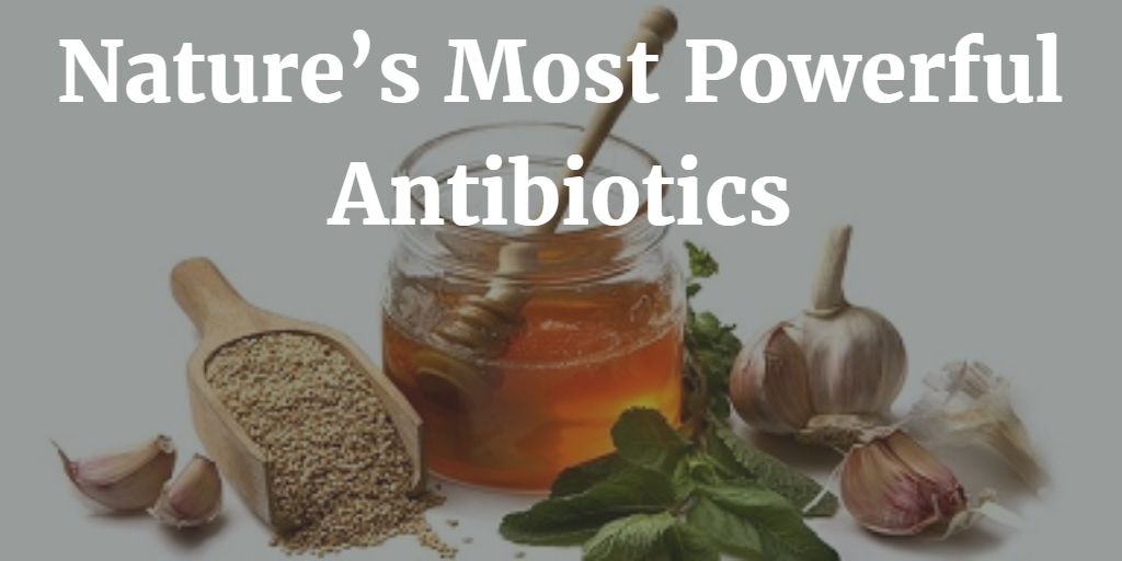 Nature’s 11 Most Powerful Antibiotics