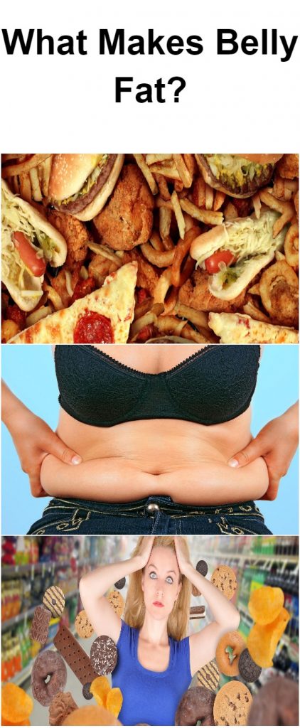 What Makes Belly Fat 1