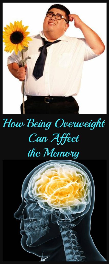 how-being-overweight-can-affect-the-memory-1