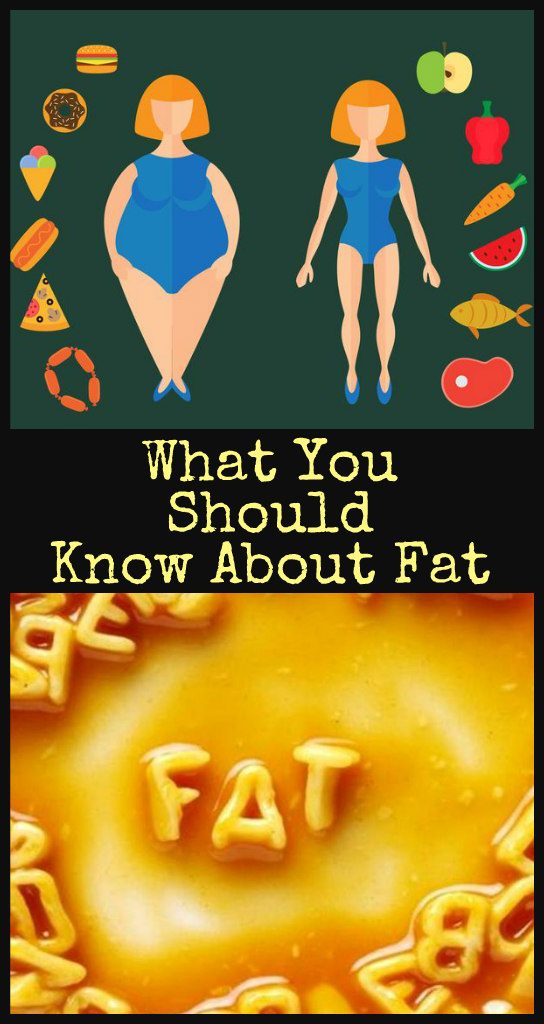 what-you-should-know-about-fat-1