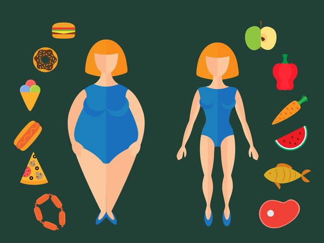 What You Should Know About Fat