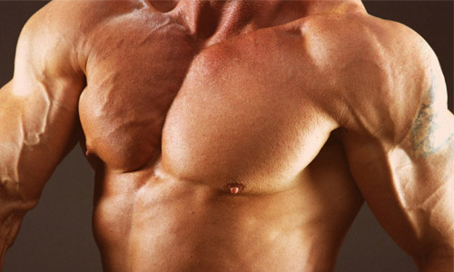 Work out Your Chest Muscles Without Weights