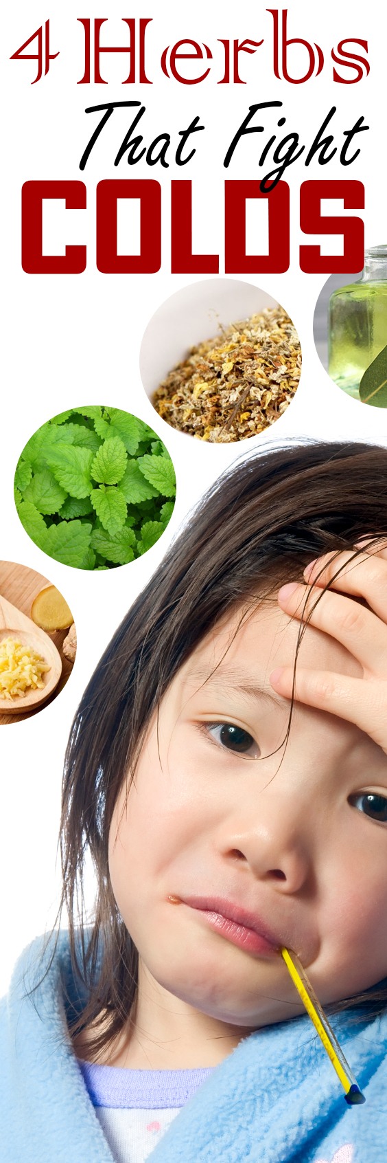 4 Herbs That Fight Colds