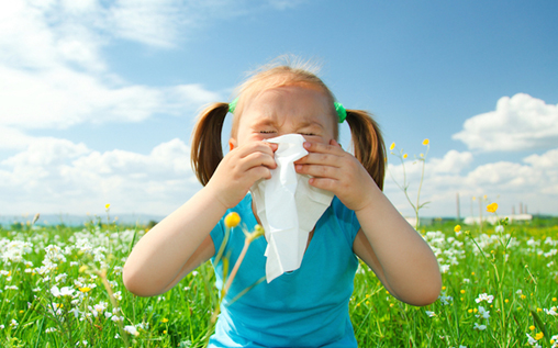 4 Foods That Can Help Fight Seasonal Allergies