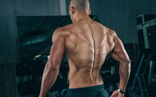 3 Ways to Work Your Back Muscles at Home