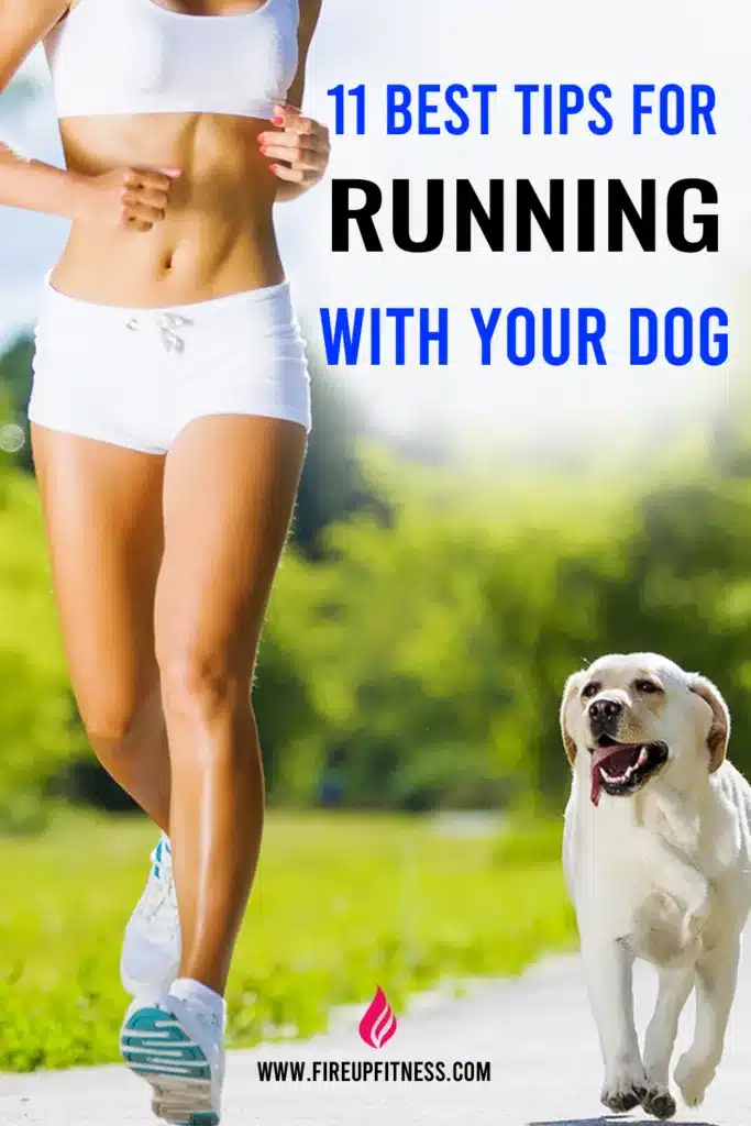 11 Best Tips for Running with Your Dog