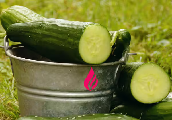 Cucumbers for better gut health